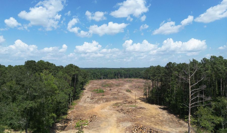 SE Cole Drive, Bogue Chitto, MS 39629 - 0 Beds, 0 Bath