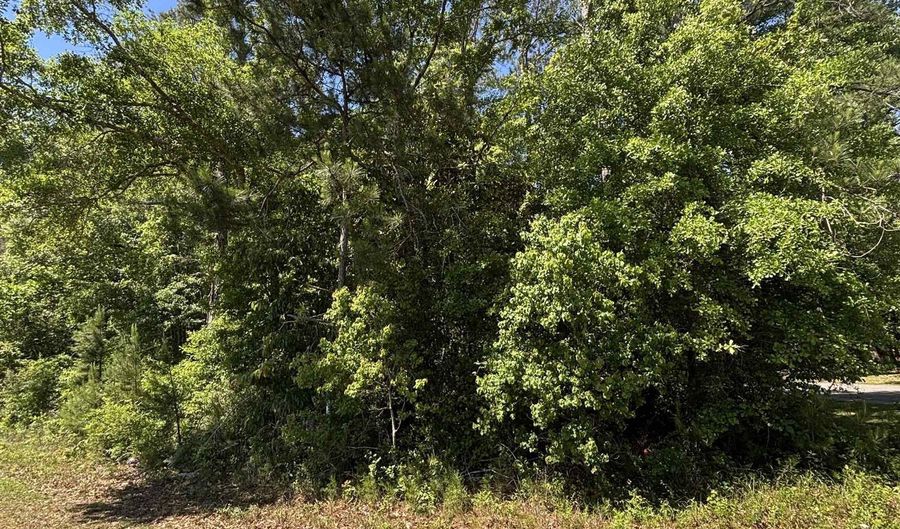 Canoe Rd, Andalusia, AL 36421 - 0 Beds, 0 Bath