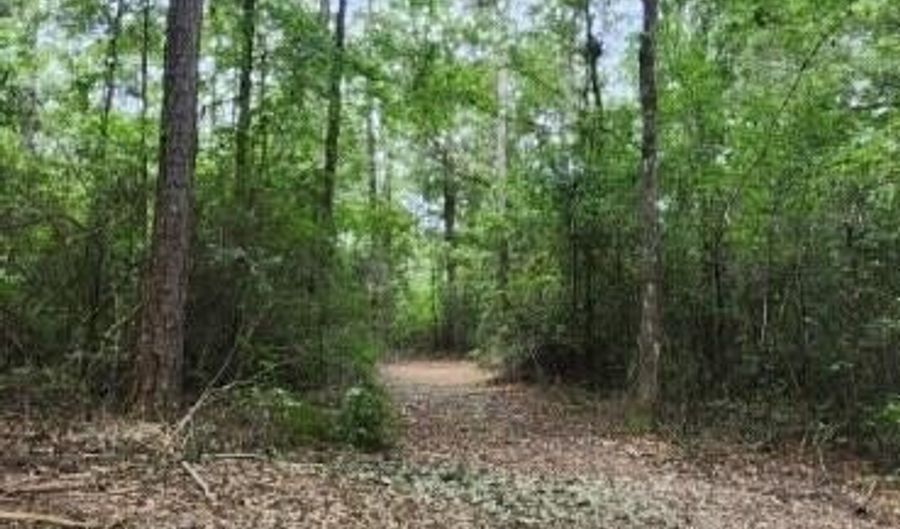0 Peapatch Rd, Biloxi, MS 39532 - 0 Beds, 0 Bath