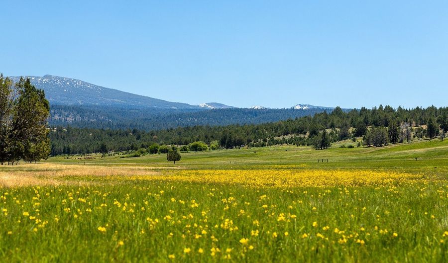 County Road 199, Alturas, CA 96101 - 3 Beds, 0 Bath