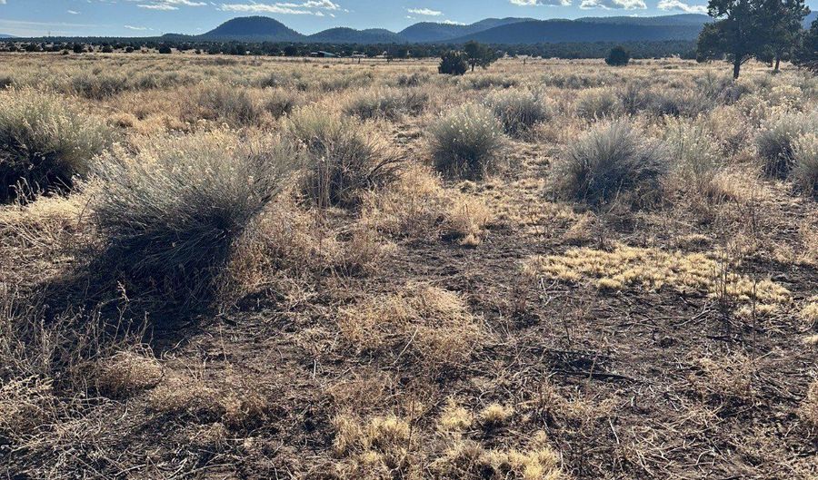 558 Sand Flat Rd 5, Aragon, NM 87820 - 0 Beds, 0 Bath