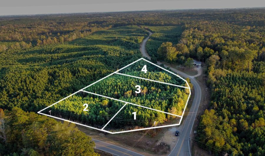 HWY 9 Lot 4, Baldwyn, MS 38824 - 0 Beds, 0 Bath