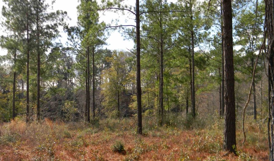 Harbor Rd lot 2, Andalusia, AL 36421 - 0 Beds, 0 Bath