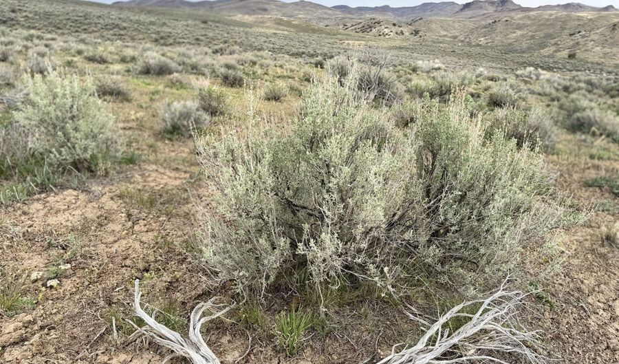 Kittridge Canyon Road, Elko, NV 89801 - 0 Beds, 0 Bath