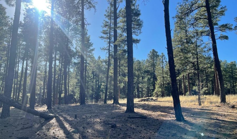 Lot E County Road N2147, Alpine, AZ 85920 - 0 Beds, 0 Bath