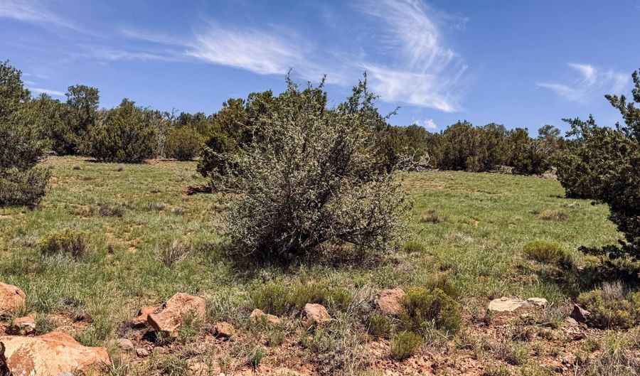 79 Co Rd, Concho, AZ 85924 - 0 Beds, 0 Bath