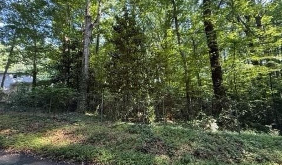 1541 Withmoor Ter, Austell, GA 30168 - 0 Beds, 0 Bath