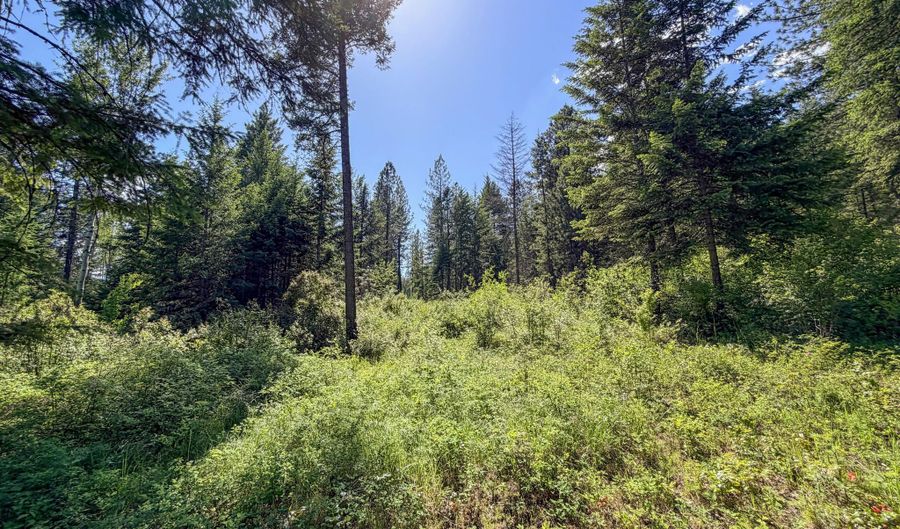 2008- TBD LOT K SUMMIT VALLEY Rd, Addy, WA 99101 - 0 Beds, 0 Bath