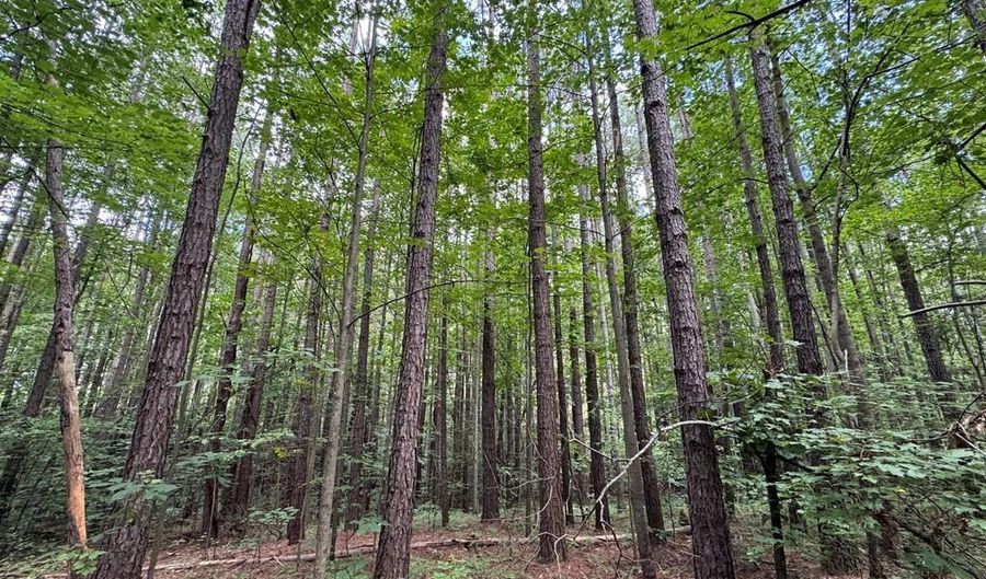 Holiday Lake Road, Appomattox, VA 24522 - 0 Beds, 0 Bath