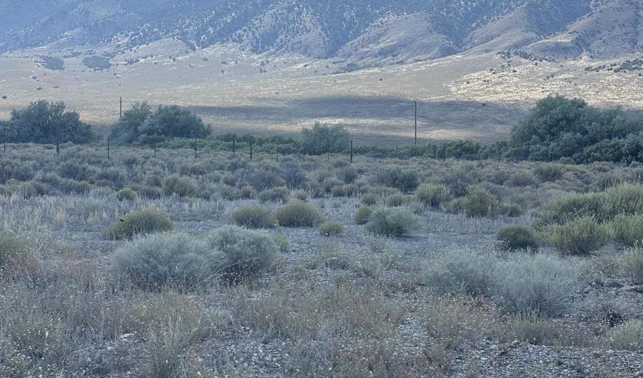 209 Los Padres Rd, Austin, NV 89310 - 0 Beds, 0 Bath