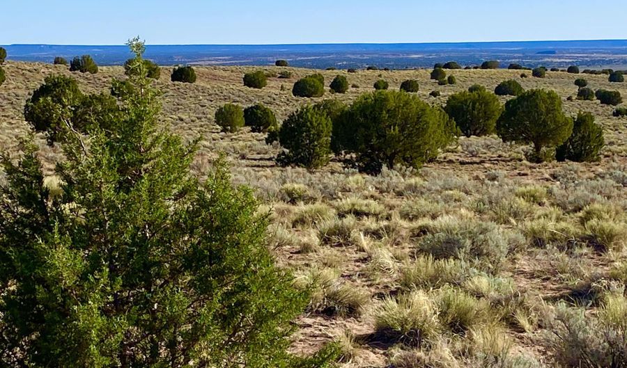 River Meadows Ranch Unit 3 Lot 204, Concho, AZ 85924 - 0 Beds, 0 Bath