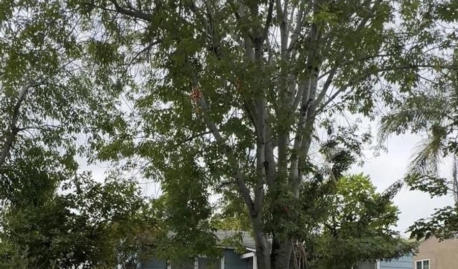 4380 Pomona, La Mesa, CA 91942 - 3 Beds, 2 Bath