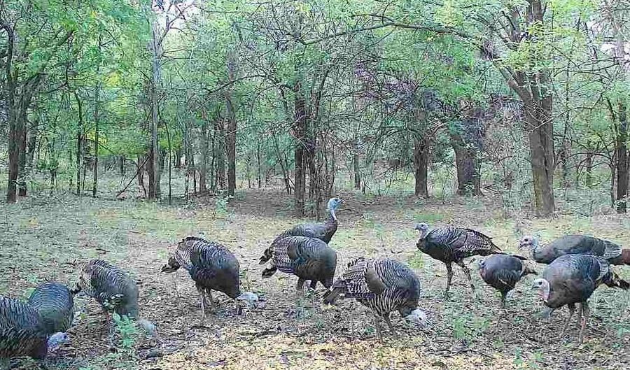 W Sun City Rd, Arlington, KS 67514 - 0 Beds, 0 Bath