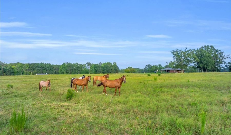 Docheno Road, Belton, SC 29627 - 0 Beds, 0 Bath