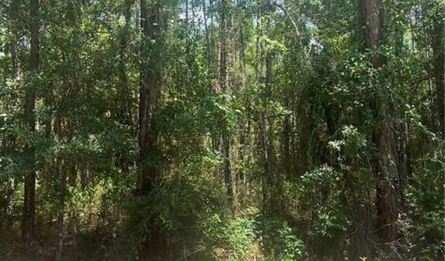 Maura Drive, Bayou La Batre, AL 36509 - 0 Beds, 0 Bath