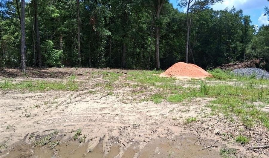 Dan Churchman Road, Axis, AL 36505 - 0 Beds, 0 Bath