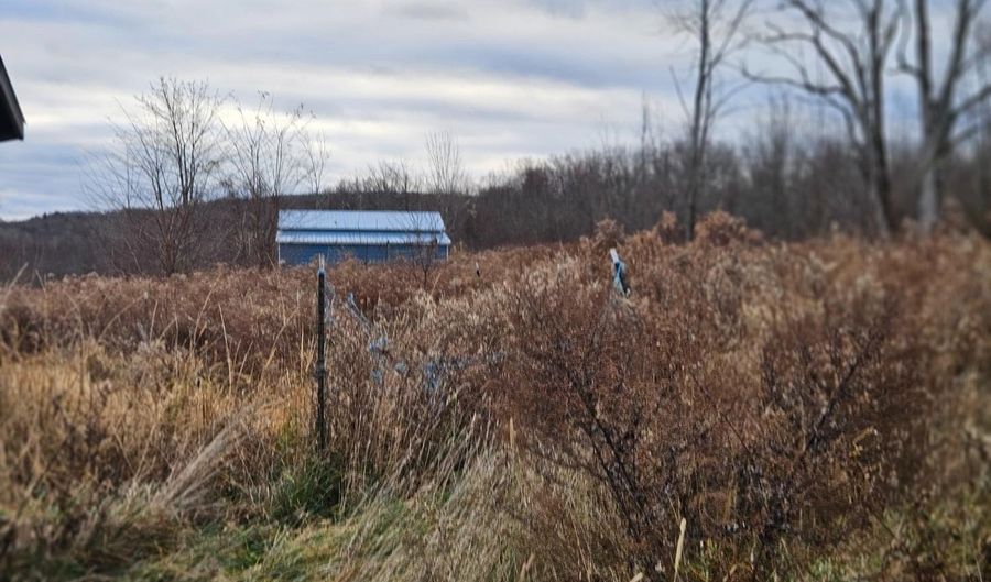 295 Shellstone Rd, Amsterdam, NY 12010 - 0 Beds, 0 Bath