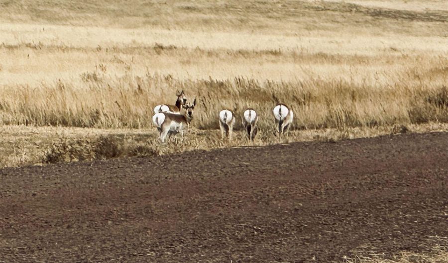 Lot 18 MISTY MOUNTAIN RD, Cheyenne, WY 82009 - 0 Beds, 0 Bath