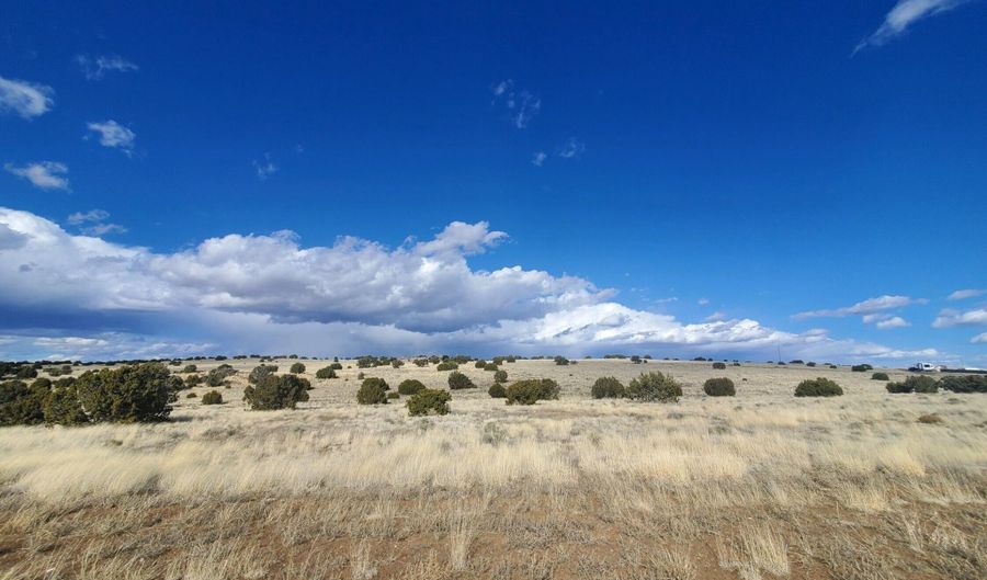 8 County Road 5203, Concho, AZ 85924 - 0 Beds, 0 Bath
