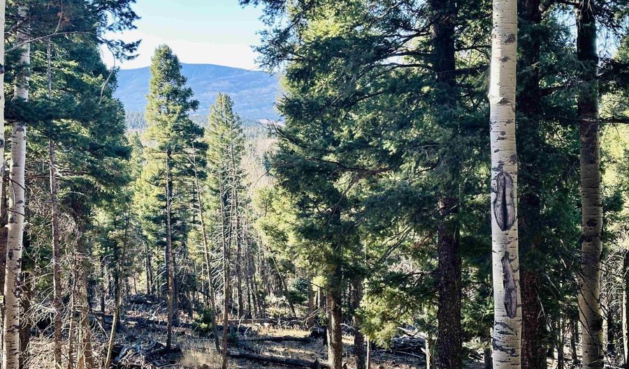 Lot 1142a Panorama Way, Angel Fire, NM 87710 - 0 Beds, 0 Bath