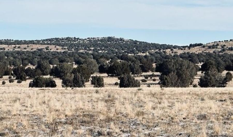 98- C Ten Tanks Rd, Ash Fork, AZ 86320 - 0 Beds, 0 Bath