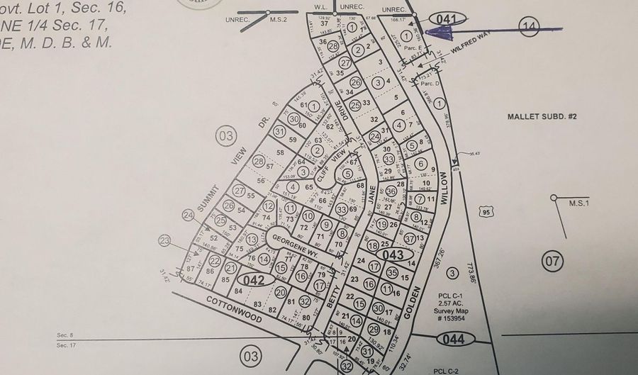 386 Golden Willow Dr, Carson City, NV 89415 - 0 Beds, 0 Bath