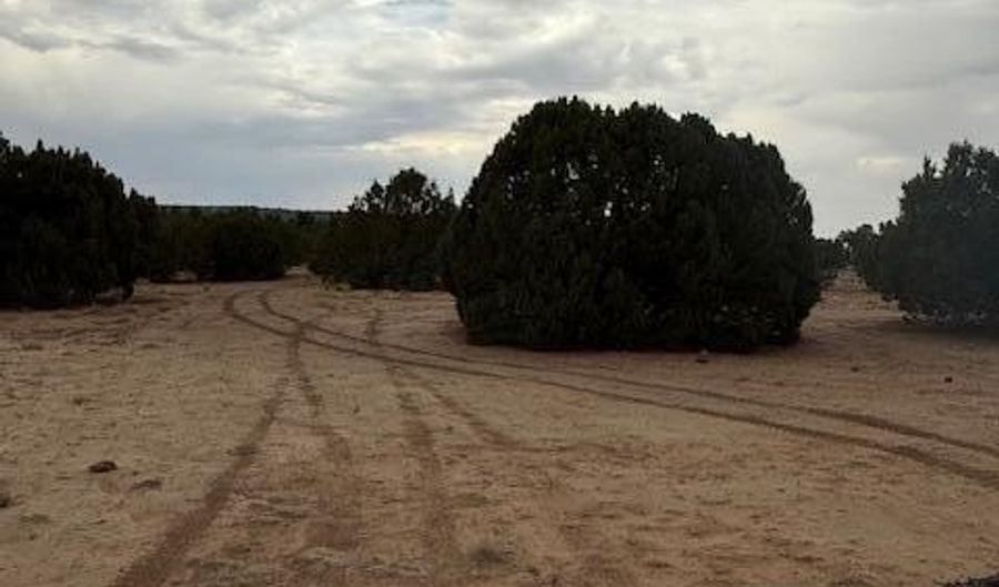 31 County Road 3044, Concho, AZ 85924 - 0 Beds, 0 Bath