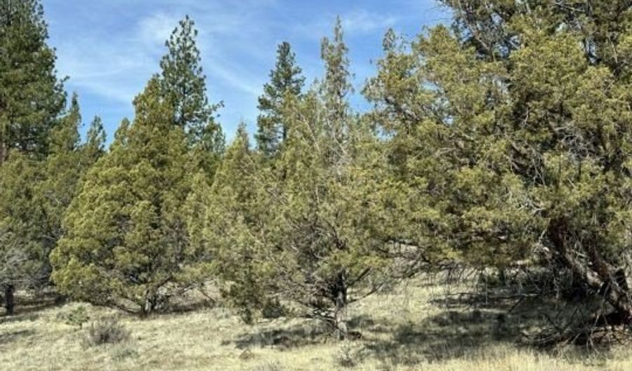 HWY 140, Beatty, OR 97621 - 0 Beds, 0 Bath
