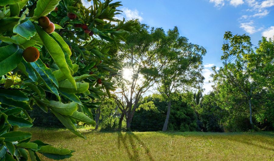 6565- C KOOLAU Rd, Anahola, HI 96746 - 0 Beds, 0 Bath