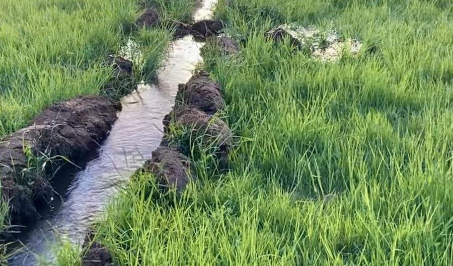 11 Camino De Adelaida Los Pinos Park, Arroyo Seco, NM 87514 - 0 Beds, 0 Bath