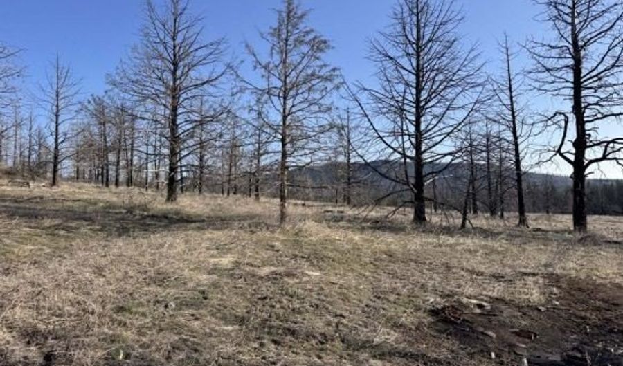 31763 Godowa Springs Rd, Beatty, OR 97621 - 0 Beds, 0 Bath