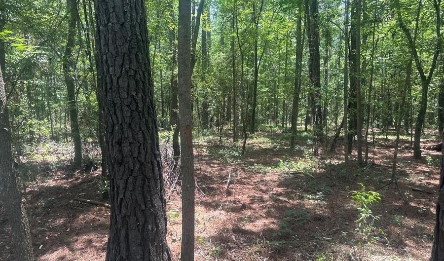 13026 Highway 122, Barney, GA 31625 - 0 Beds, 0 Bath