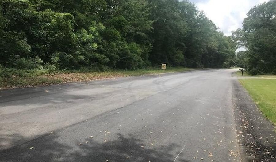 Lot 14 Fairway Lane, Barnwell, SC 29812 - 0 Beds, 0 Bath