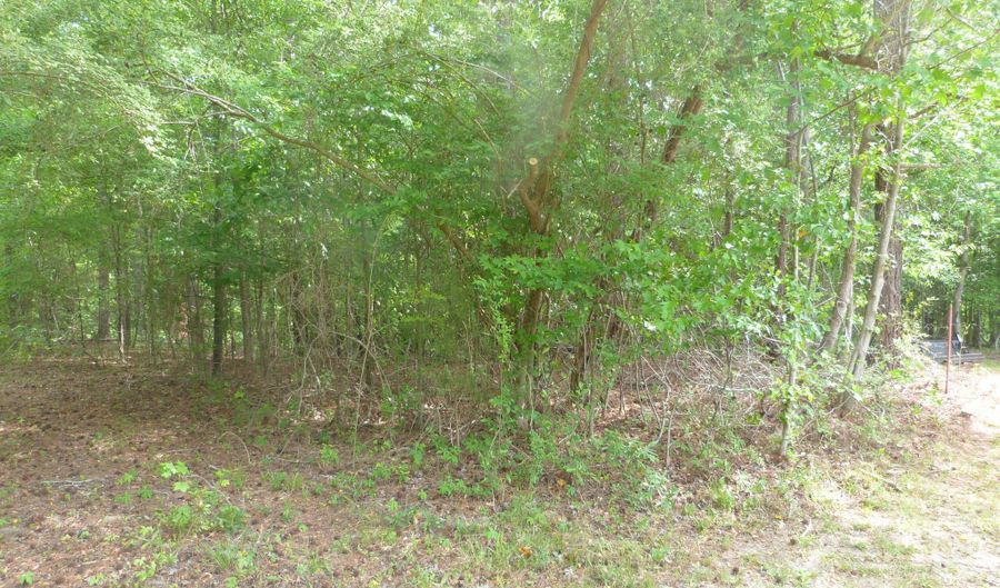 Winfield Road, Appling, GA 30802 - 0 Beds, 0 Bath