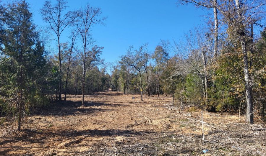 NW Tommy Tucker Road lot 1, Altha, FL 32421 - 0 Beds, 0 Bath