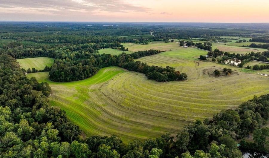100 Acres Harmony Church Rd, Andalusia, AL 36421 - 0 Beds, 0 Bath