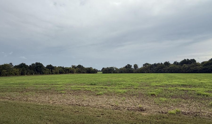 16435 County Road 290, Asbury, MO 64832 - 3 Beds, 2 Bath