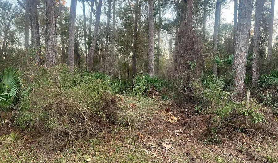 34 Gibson Rd, Apalachicola, FL 32320 - 0 Beds, 0 Bath