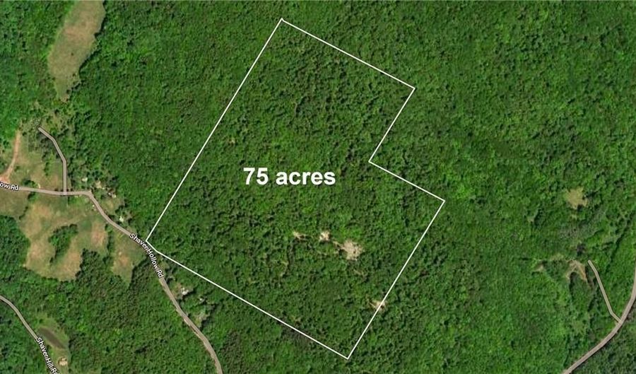 Lot 28.1 Shaver hollow, Andes, NY 13731 - 0 Beds, 0 Bath