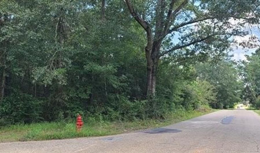 0 AVENUE I None, Bogalusa, LA 70427 - 0 Beds, 0 Bath