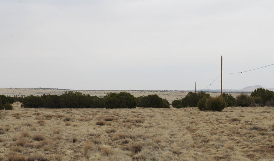 21 County Rd, Concho, AZ 85924 - 0 Beds, 0 Bath