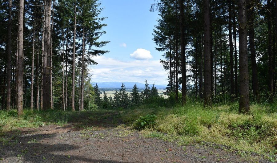 Scravel Hill RD, Albany, OR 97322 - 0 Beds, 0 Bath