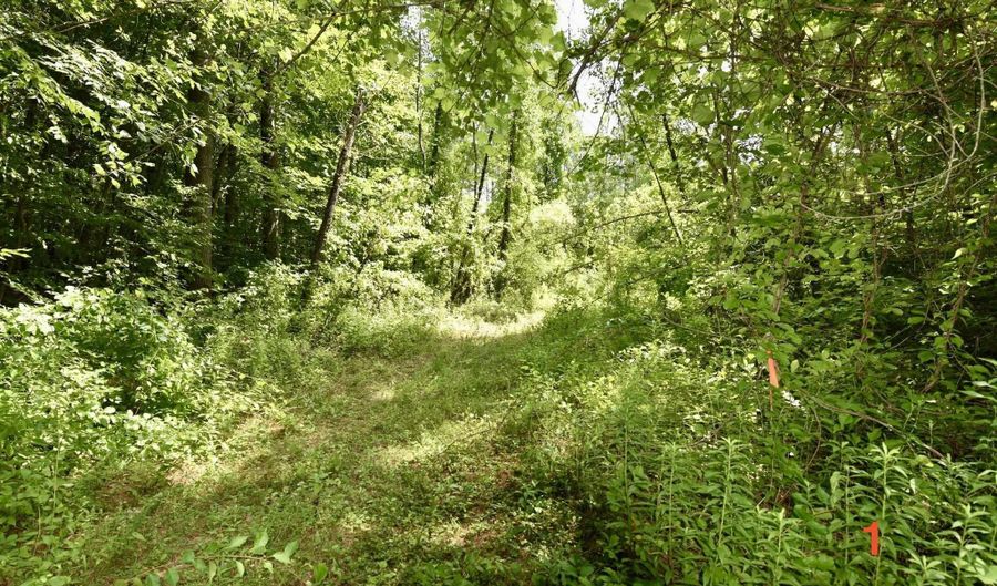 0 High Pine Dr, Arlington, VT 05250 - 0 Beds, 0 Bath
