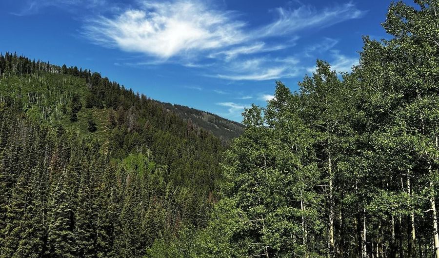 2601 Midnight Mine Road Rd, Aspen, CO 81611 - 1 Beds, 1 Bath