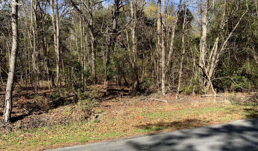 5037 Doctor Taylor Rd, Adams Run, SC 29426 - 0 Beds, 0 Bath