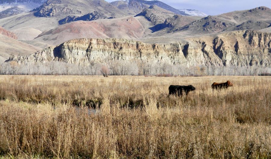 24950 Hwy. 93, Challis, ID 83226 - 3 Beds, 3 Bath