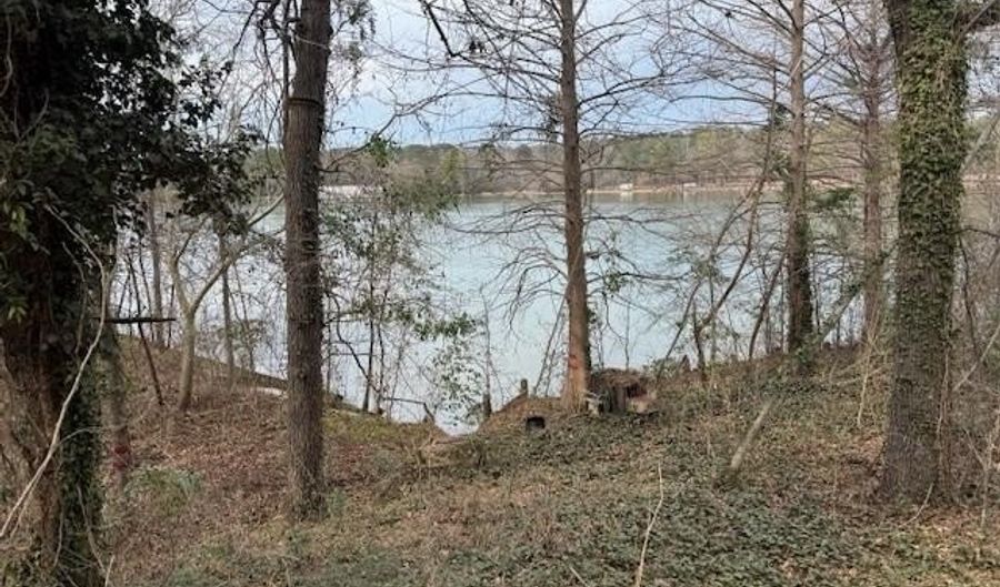 Cove Road, Abbeville, AL 36310 - 0 Beds, 0 Bath