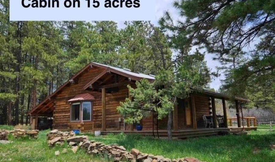 730 County Road 503, Bayfield, CO 81122 - 2 Beds, 1 Bath