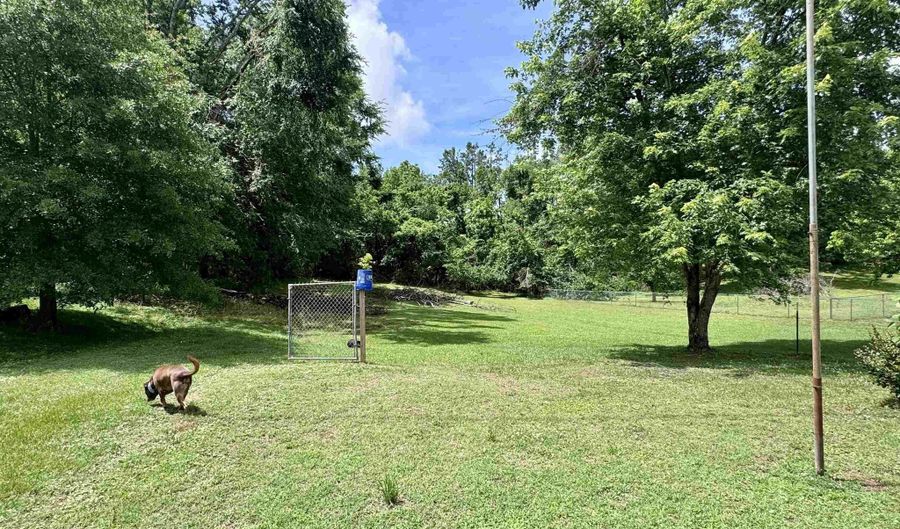 237 OLD SHILOH Rd, Adamsville, TN 38310 - 2 Beds, 1 Bath