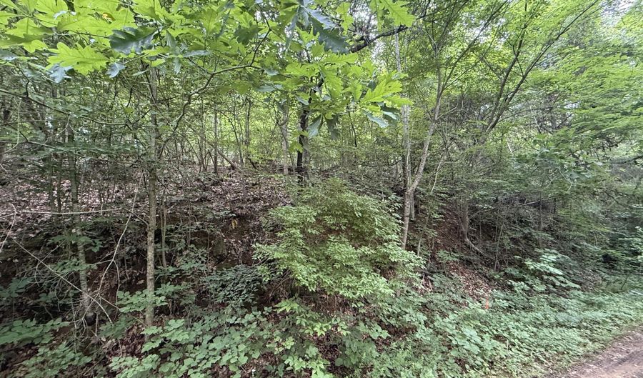 5 Lots Fortunato Dr, Baneberry, TN 37890 - 0 Beds, 0 Bath